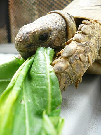 ނނ@