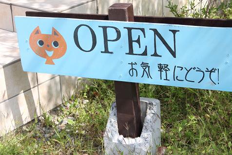 猫カフェ・ニャンダーラ@