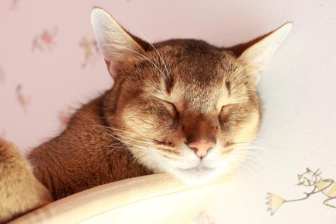 仁くん@